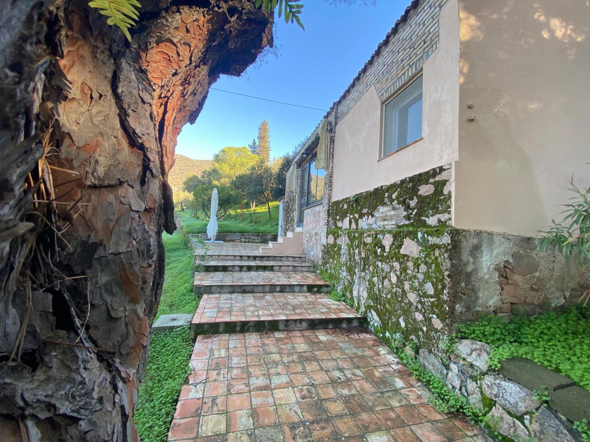 Aste - San Gregorio * San Gregorio (Sardinia)